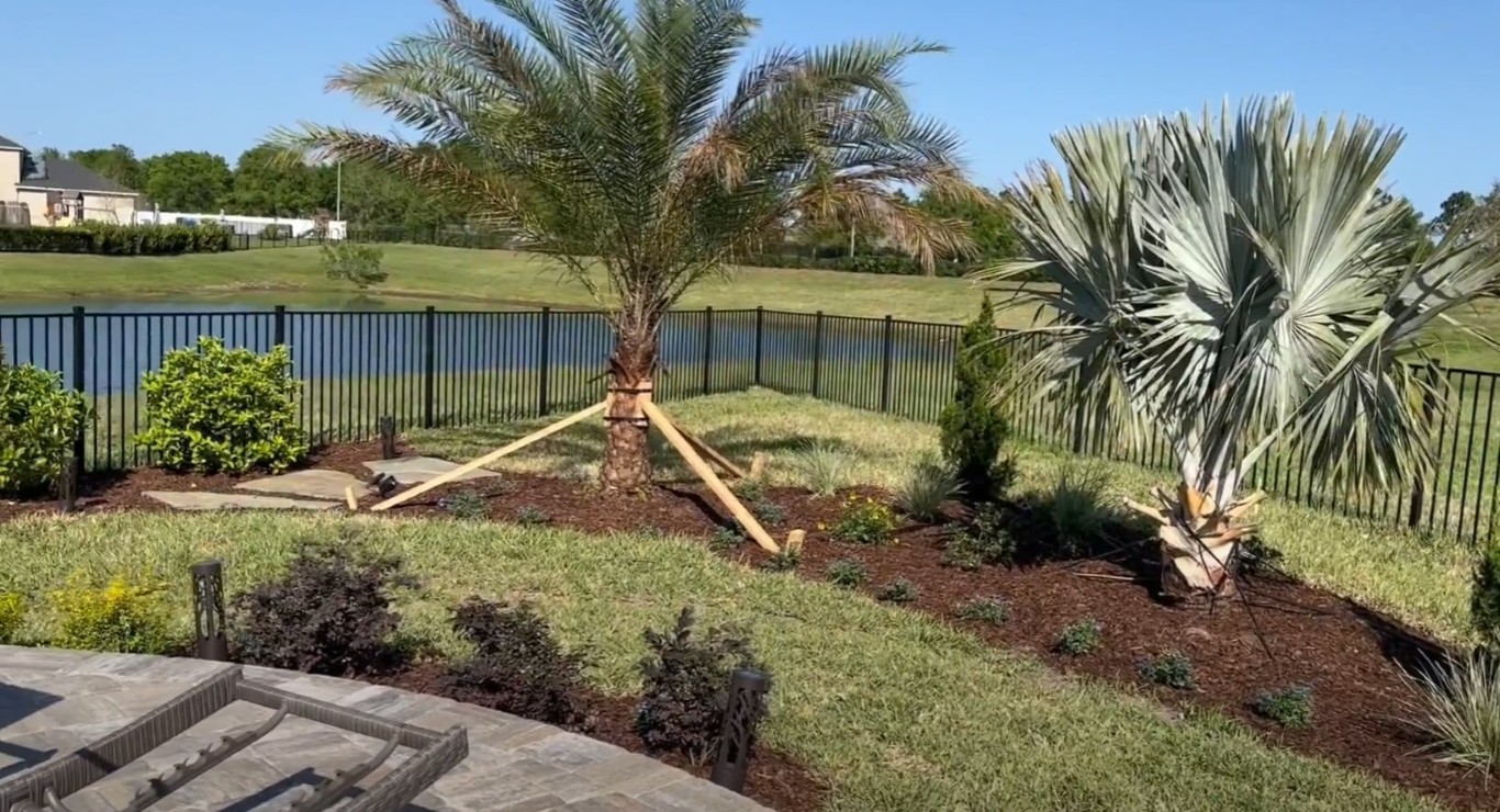 Professional landscape design with palm trees and fresh mulch installation