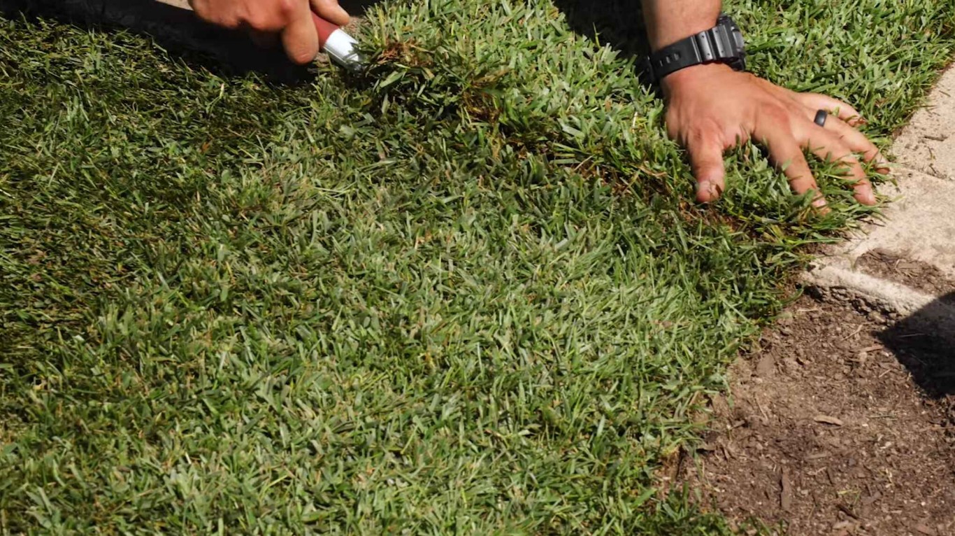 Professional sod installation hands-on work for new lawn creation
