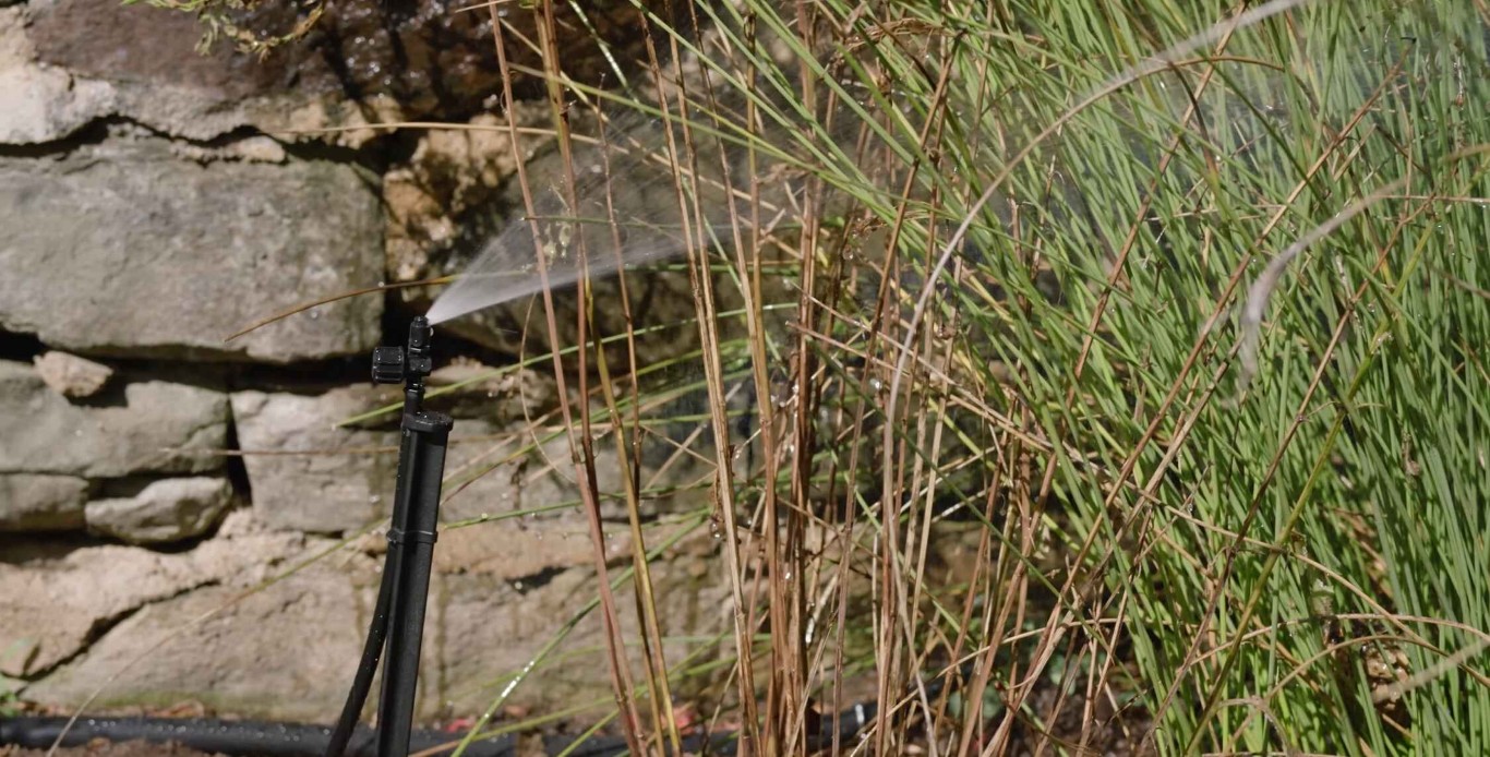 Sprinkler system watering ornamental grasses near stone wall